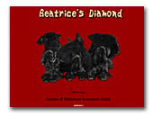 Beatrice's Diamond Miniature Schnauzers
