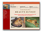 Beauty Sunset SharpeiKennel