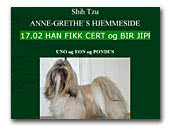 Shih Tzus Anne Grethe'shjemmeside