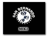 Bernardinci-Miki