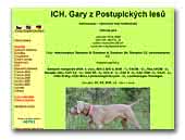 Weimaraner Gary z Postupickych lesu ICH, CH, JCH