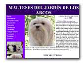 Criador de bichon maltes Jardín de Los Arcos