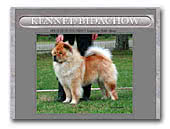 Kennel Bidachow