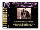 Black Beauty of Pamita