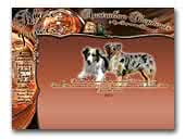 Australian Shepherds Blaze Jewels