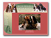 Basset Hounds Bohemia Horrido