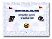 German Boxers Bosim FCI 