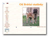 Leonberger Od Brdské studánky