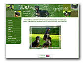 Kennel Zgornjesavska Great Swiss Mountain Dogs