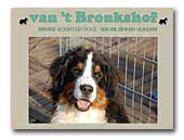 Bernese Mountain Dogs van 't Bronkshof