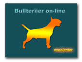 Bullterrier on-line