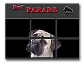 Bullmastiffs Bull Parade Kennel