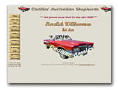 Cadillac Australian Shepherds