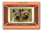 Cairn Terrier vom Smaragd