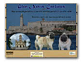 Glen Nevis Kennel of Pugs