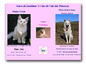 Vale das Princesas White Swiss Shepherd Dogs