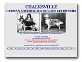 Chalksville German Shepherd Dogs Kennel