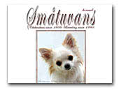 Smatuvans Kennel FCI Chihuahuas