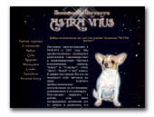 Astra Vitus Chihuahua kennel 