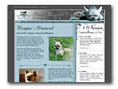 Damjan's Diamond FCI Chihuahuas