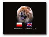 Radoszowska Duma Chow Chows