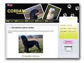 Portuguese Water Dog and Lowchen Cordata Kennel