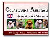 Courtland's Australian Labradoodles