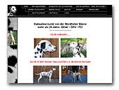 Dalmatians von der Montforter Ebene