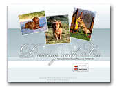 Dancing with Fire Nova Scotia Duck Tolling Retriever kennel