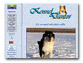 Collie Rough Kennel Dantos
