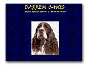 Darrem Canis English Springer Spaniels kennel