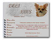 Chihuahuas Deli Bir's