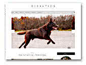 Miniature Pinschers Kennel Didaktic's