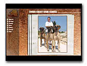 fawn and brindle Great Dane kennel Luxor