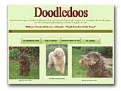 Doodledoos Miniature English and Pure Australian Labradoodles