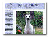 Whippets Dusilla