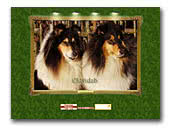 Collie kennel Eldvidzh