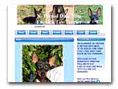 English Toy and Manchester Terriers X-Pected Dine Mite