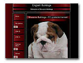 English Bulldog kennel Shaxaree