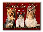 Yorkshire Terriers & Biewer Yorkies Exclusive Toy