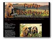 Farlap Bloodhounds