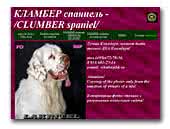 Clumber Spaniel Lakritel