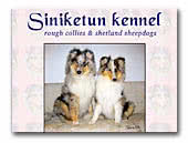 Siniketun Collies & Shelties