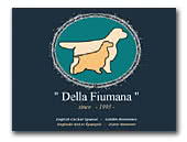 Della Fiumana Golden Retrievers Keenel