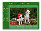 Fondador Kennel Kromfohrländer
