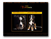 Bernese Mountain Dogs Kennel Fortuneia
