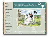 Fox Terriers Foxingdane