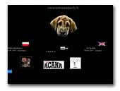 Poland Dog Breeders And Kennels Page 6 Eurobreeder Com