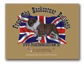 From The Backcorner English Bulldogs