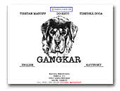 Gangkar Tibetan Mastiffs